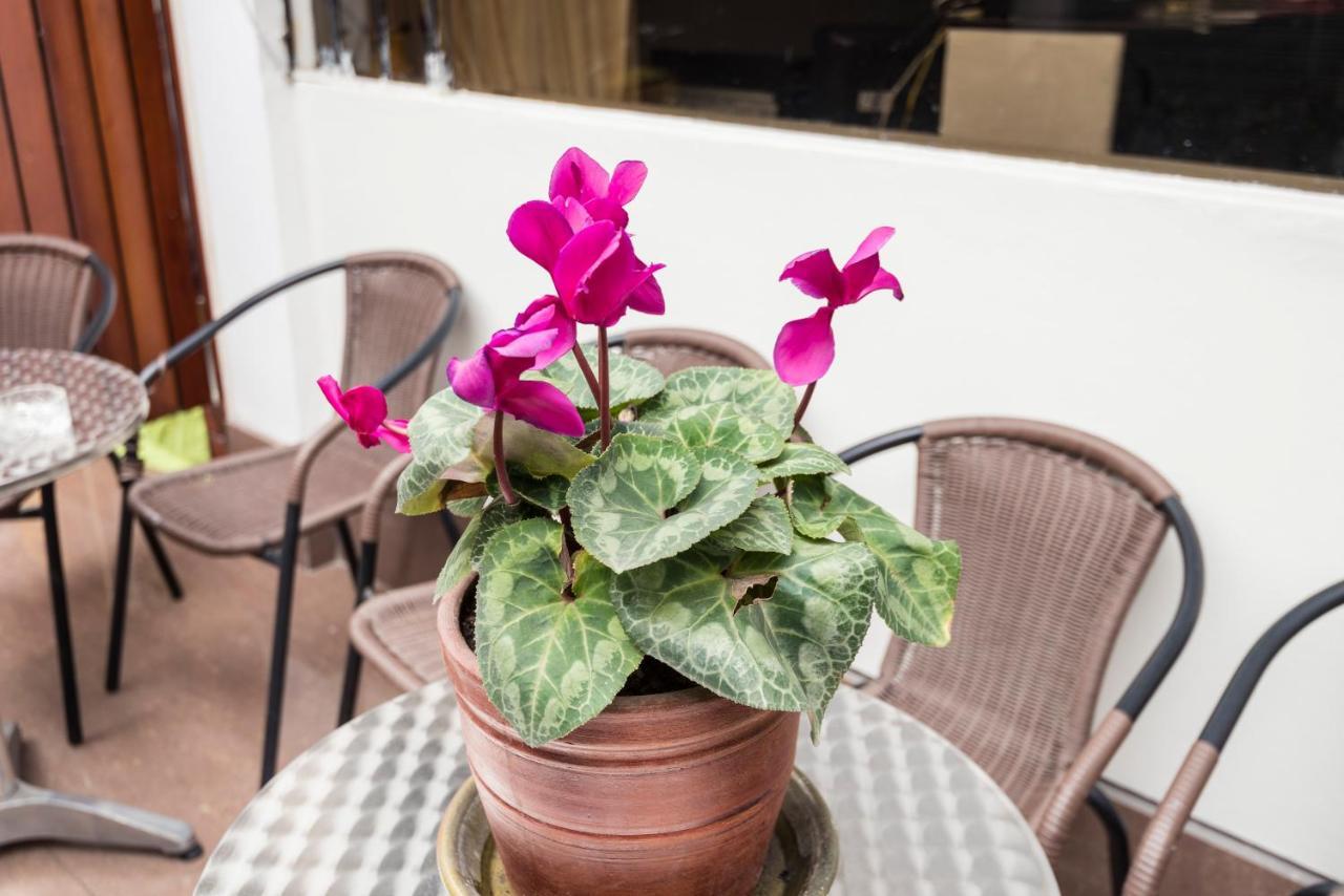 Inti Killa Hostel Lima Dış mekan fotoğraf